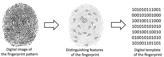 Working of R307 Fingerprint Sensor